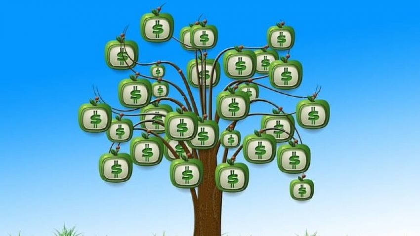 O que avaliar em uma instituição para investir